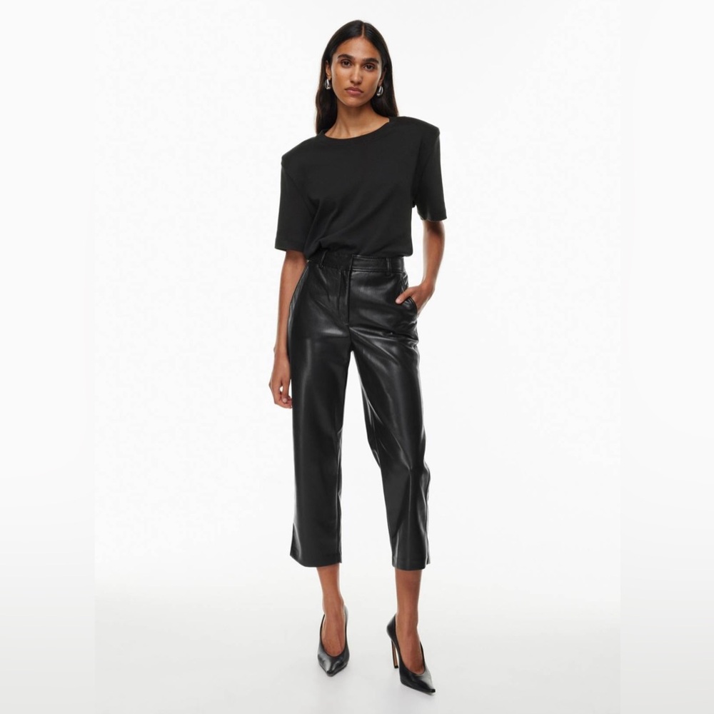 Aritzia Babaton Command Cropped Pants